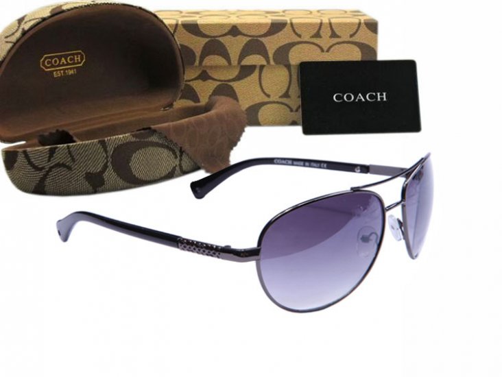 Coach Sunglasses 8015